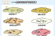 狗吐虫子怎么办？快速解决方法（用药治疗狗吐虫子的有效措施）