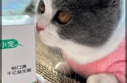 探索小宠奇趣世界（发现小宠的神奇魅力和养护之道）
