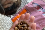 了解比瑞吉狗粮的特点和优势（为你的爱犬选择最好的营养来源）