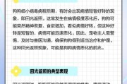 狗狗细小后适合洗澡的时间及注意事项（探究狗狗细小后适合洗澡的最佳时机和正确方法）