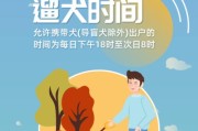 如何正确奖励和惩罚牛头梗（培养良好习惯，与宠物和谐相处）