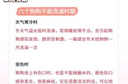 夏季小狗洗澡频率（掌握适当的洗澡频率让小狗保持清爽）
