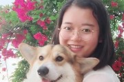 如何正确呼名训练你的宠物狗（宠物狗呼名训练技巧和方法）
