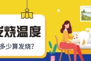 猫咪的体温及其对健康的影响（时刻关注猫咪的体温变化，预防疾病发生）