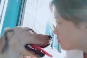 抚顺（收活狗的义工组织与爱心人士共同助力）