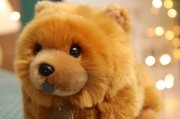 如何为你的松狮犬挑选最适合的玩具（以宠物为主，让你的松狮犬玩的开心，健康成长）