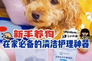 如何做好狗狗的清洁护理？（宠物主人必知，科学护理你的狗狗。）