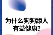 狗狗为什么一直舔地上？（探究狗狗舔地行为的原因及解决方法）