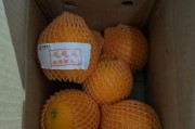 适合3个月金毛的水果饮食指南（宠物狗的健康成长，从水果开始）