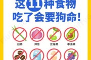宠物健康，注意这些不能给狗狗吃的东西（15种日常食品，你知道其中哪些对狗狗有害吗？）