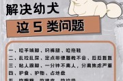 如何有效应对狗狗的过度叫喊（利用宠物训练技巧，让您的狗狗不再狂叫）