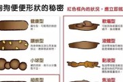 成年狗狗为什么一日一餐？（探究成年狗狗一日一餐的原因及效果）