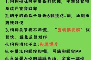 探讨狗不想吃东西的药物治疗方法（解析狗食欲不振的原因及应对策略）