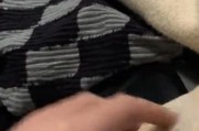 吉娃娃价格和缺点揭秘（了解吉娃娃的价格和潜在问题，成为一个明智的宠物选择者）