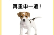 狗肾问题的症状与预防（探索狗肾问题症状，保护你的宠物健康）