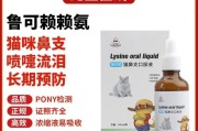 半个月小猫的药物饮食需知（半个月小猫如何正确使用药物保健）