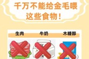 新手主人该如何正确喂养幼犬？（幼犬喂养指南，让你的小狗健康成长）