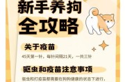 小狗出生后的驱虫和疫苗接种时间（了解小狗驱虫和疫苗接种的正确时间安排，让宠物健康成长）