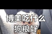 博美犬的饮食指南（了解博美犬的饮食需求，让你的宠物健康成长）