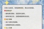 狗狗细小检测的时间及相关内容解析（了解狗狗细小检测的关键时间节点和重要注意事项）