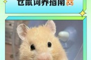 以苍鼠的寿命及其影响因素（揭秘以苍鼠的长寿秘诀与寿命探索）