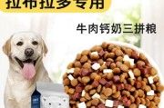 如何合理地为拉布拉多准备3个月的狗粮（量的估算和营养均衡）