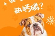 狗狗得佝偻病怎么治？（宠物照顾知识分享，让你的狗狗健康成长。）