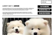 沙皮幼犬洗澡时间的注意事项（合理安排洗澡时间，让你的沙皮幼犬健康成长）