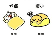如何区分犬瘟热和感冒？（狗狗咳嗽流鼻涕也许不是感冒！）