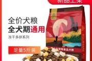 柯基狗粮喂养之要点解析（如何确定柯基的狗粮摄入量，让爱宠健康快乐？）