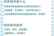 狗的月子期有多长时间？（探索狗在月子期间需要的护理和照顾）
