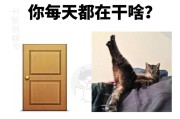 猫为何总爱叫？（探秘猫咪叫声的原因及解决方法）