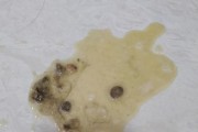 狗孕呕吐物