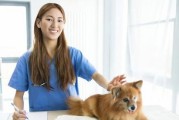 狗狗需要多少运动？（宠物主人必看的狗狗运动量掌握指南）