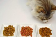 如何挑选适合你的猫的猫粮？（四种方法教你轻松挑选优质猫粮，让你的猫健康快乐）