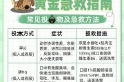 狗狗中毒（了解狗狗中毒的症状，保护你的爱宠安全）
