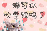 猫咪的舒适温度（基于具体情况，找到最适合猫咪的室内温度）