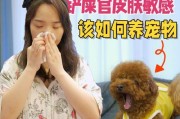 如何给敏感狗狗洗澡（保护皮肤健康的正确方法）