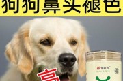 优质营养、提高免疫力、促进消化、美容养颜（优质营养、提高免疫力、促进消化、美容养颜）