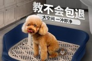 如何帮助宠物狗狗正确如厕？（从训练开始，教你让狗狗健康无忧）