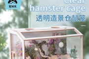 金丝熊饲养指南——让你成为专业的熊宠物主人！（掌握这些技巧，让金丝熊健康快乐的生活在你家）