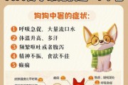 为什么夏天狗会呕吐？（探究夏天狗呕吐的原因和应对方法）