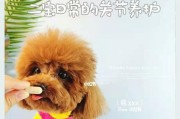 狗狗养护必知（宠物饮食的坑人误区，主人必须知道）