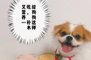 营养对母犬的重要性（宠物犬的健康需求与营养搭配）