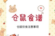 仓鼠饮食食谱（仓鼠的饮食需求及合理搭配是保持宠物健康的关键。）