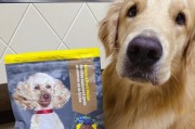 优选食材，助力狗狗毛发健康（三种食物让你的爱犬毛发亮丽、柔软、健康）