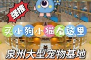 泰迪宠物狗的训练方法（打造聪明乖巧的泰迪宠物狗）