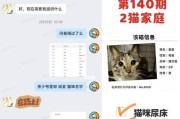 揭秘猫咪乱尿背后的原因及解决方案（17种原因让猫咪乱尿不再是报复行为）
