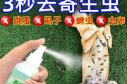 猫咪跳蚤洗澡还是驱虫？如何保护它们的健康？（猫咪护理中的重要问题及解决方案）