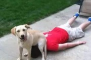 狗狗为什么要用屁股蹭着走？（揭秘宠物犬的“屁股蹭行为”与健康关联）